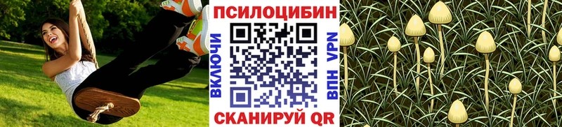 где найти наркотики  Домодедово  Псилоцибиновые грибы MAGIC MUSHROOMS 